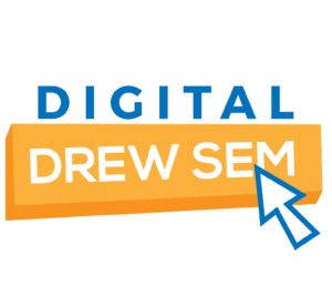 Digital Drew SEM